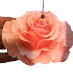 Show Me Your Mumu Kendall Bridesmaid Dress Size M Rosebud Chiffon W/Ring Wedding Photo 7