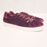 Circus by Sam Edelman Sam Edelman Shoes Sneakers Cranberry Velvet Shoe 8.5 Photo 1