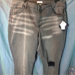 Ava & Viv  NWT 20W distressed skinny jeans Photo 0