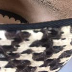 Pour La Victoire Carlin Snakeskin Leather Lace-Up Oxfords EUC 8 Photo 5