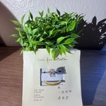 Target 14K Gold Plated Rings Photo 2