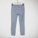 Madewell White & Blue Striped Zip Ankle Skinny Jeans Photo 1