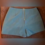 Grace Willow Pretty Strong Green Shorts W Gold Zipper In Back With Pocke… Photo 3