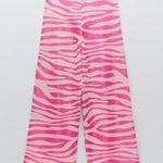 ZARA Pants Photo 1