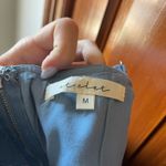 Pitaya  Corset Top Photo 2