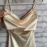 Windsor champagne midi dress Photo 1