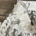 Pretty Little Thing  Cream Lace Pants Photo 3