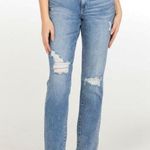 Articles of Society ✨ Rene Sz 26 Denim✨ Photo 1