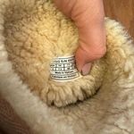 UGG  Boots Photo 4