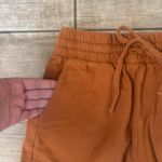 Zenana Outfitters  Terracotta Athletic Shorts Photo 2