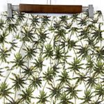 Briggs New York Briggs Womens Large Tropical Shorts Linen Blend Palm Tree Beachy Summer Tassels Photo 2