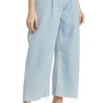 AGOLDE NEW Dagna High-Rise Pleated Baggy Jeans Photo 3
