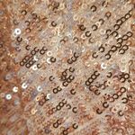 Maje 💕💕 Paillette Pleated Sequined Tulle Shorts High Rise ~ Metal Pink 38 NWT Photo 13