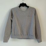 Arcteryx Momenta Centre Gray Pullover Long Sleeve Size Small Photo 7