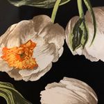 Forever 21 NWOT Floral print shift dress. Cutout neck. Size XS Photo 9