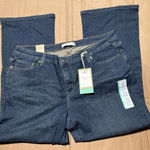 Levi's Women’s Plus 18W Short Levi’s Fuller Waist Boot Cut 590 Blue Jeans NWT Photo 0