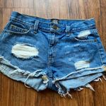 Urban Outfitters BDG boyfriend low rise distressed shorts size 24 Photo 2