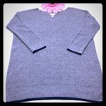 Joie Soft  Wool Blend Crewneck Sweater: Grey - Navy Blue Trim Photo 0