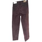 American Eagle NWT ‎ Outfitters Corduroy Style Pants Juniors Size 2 Brown Photo 6
