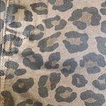 Blank Paige  Cheetah Short Photo 1