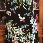 Connected Apparel Black Floral Sleeveless Knee Length Dress Womens Size 12 Photo 4