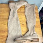 Steve Madden  Lizbeth Over The Knee Boots Size 10 Suede Block Heel Taupe Tan NEW Photo 3