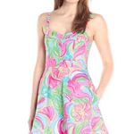 Lilly Pulitzer  Willow Dress So A Peeling Fit and Flare Size Womens 14 Photo 3