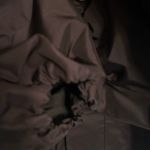 Yeezy x Gap Engineered by Balenciaga Unisex Oversized Parka Jacket(Size Medium) Photo 6