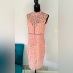 Bardot Gorgeous midi dress for spec.occasion 🌷🌷🌷 Photo 9