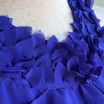 Aryn K Halter Ruffled Blouse Photo 2