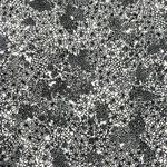 Loft  Crewneck Floral Print Balloon Sleeve Blouse Size X-Large Office Career Boho Photo 6