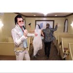 VINTAGE Style Wedding Dress Sleeveless Asymmetric Mini Embroidered White Small Photo 5