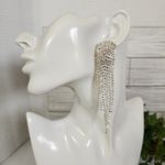 Silver and Rhinestone Fringe Glam Earrings Photo 2