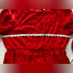 Chiffon Swiss Dot Empire Dress Plus Size Red Long Sheer Sleeve Elastic Waist 18W Photo 3