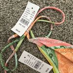 LA Hearts  Bikini Set Photo 2