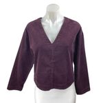 Madewell Women's Purple Waffle Knit Cotton Long Sleeve V Neck Sweater Top Size S Photo 0