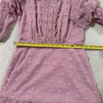 Simplee Apparel Simplee Pink Size M Long Sleeve Lace Chiffon Mini Party Dress Swiss Dot Photo 2