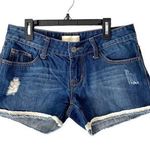 Vivienne Westwood  Denim Jean Lace Trim Shorts size 29 Photo 0