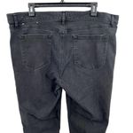 Loft  Black Jeans 18 Long Photo 3