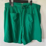 Torrid NEW  Wide‎ Leg Studio Crepe Pleated Shorts Bosphorus Kelly Green Size 18 Photo 2