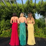 Ashley Lauren  Prom Dress Photo 1