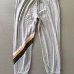 Wildfox Sport Atmosphere Jogger Sweatpants Photo 0