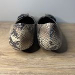 Theme Shoes Snakeskin Print Buckle Accent Low Heeled Pumps Women Size 8.5W Edgy Tan Photo 4