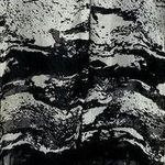 Divided Women's Shear Long Top Photo 0