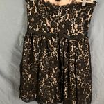 Robert Rodriguez Neiman Marcus x Target: Black Lace Strapless Dress Photo 11