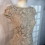Tadashi Shoji Cap Sleeve Laced Ivory Nude Fit & Flare Cocktail Party Dress Sz 4 Photo 1