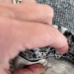 Anthropologie Saturday Sunday Women’s Printed Gray Blue Pants Size Small Photo 4