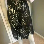 Sugar Lips  black lace dress.  #178 Photo 3