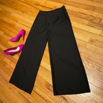 Mango NWOT súper flare leg elephant pinstripe pleated palazzos Whimsgoth Photo 0