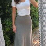 Massimo Dutti  midi skirt Photo 1